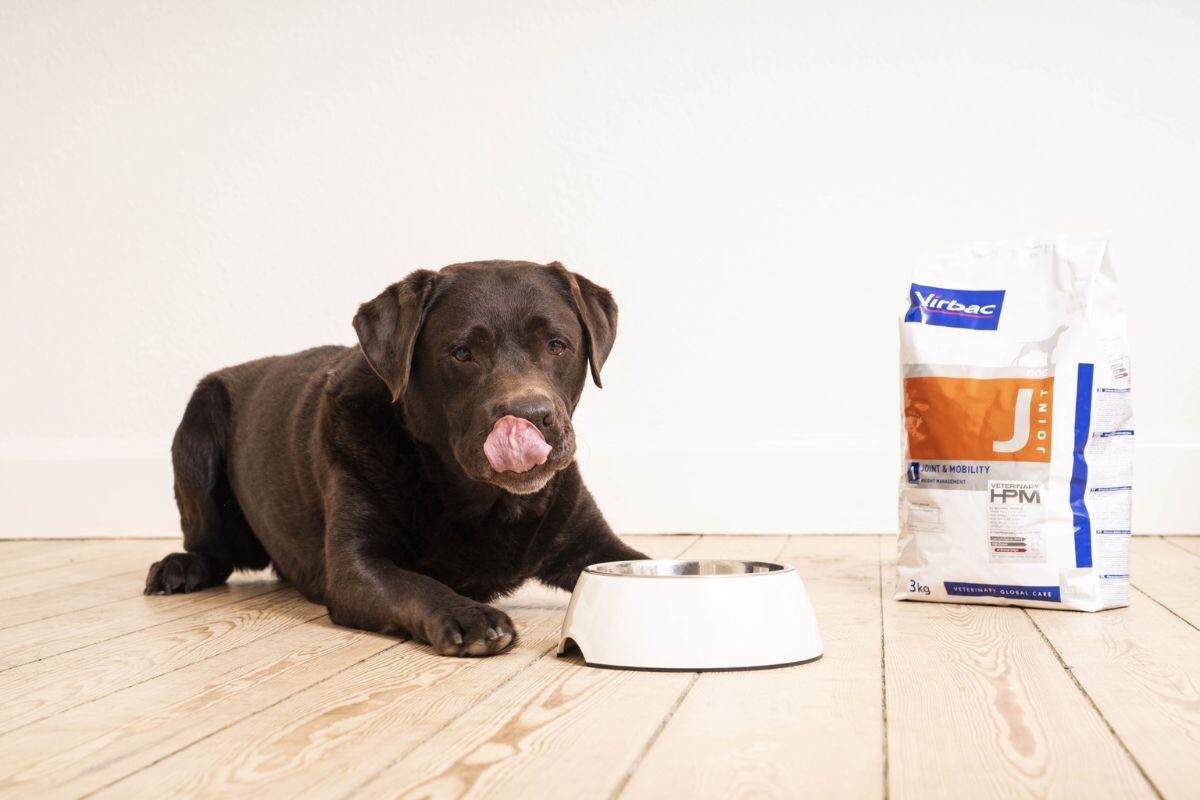 Собака лежит рядом с миской и пакетом корма Virbac HPM для суставов