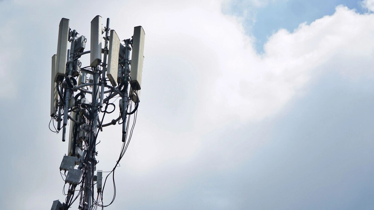    Фото: jmandala/Shutterstock/Fotodom