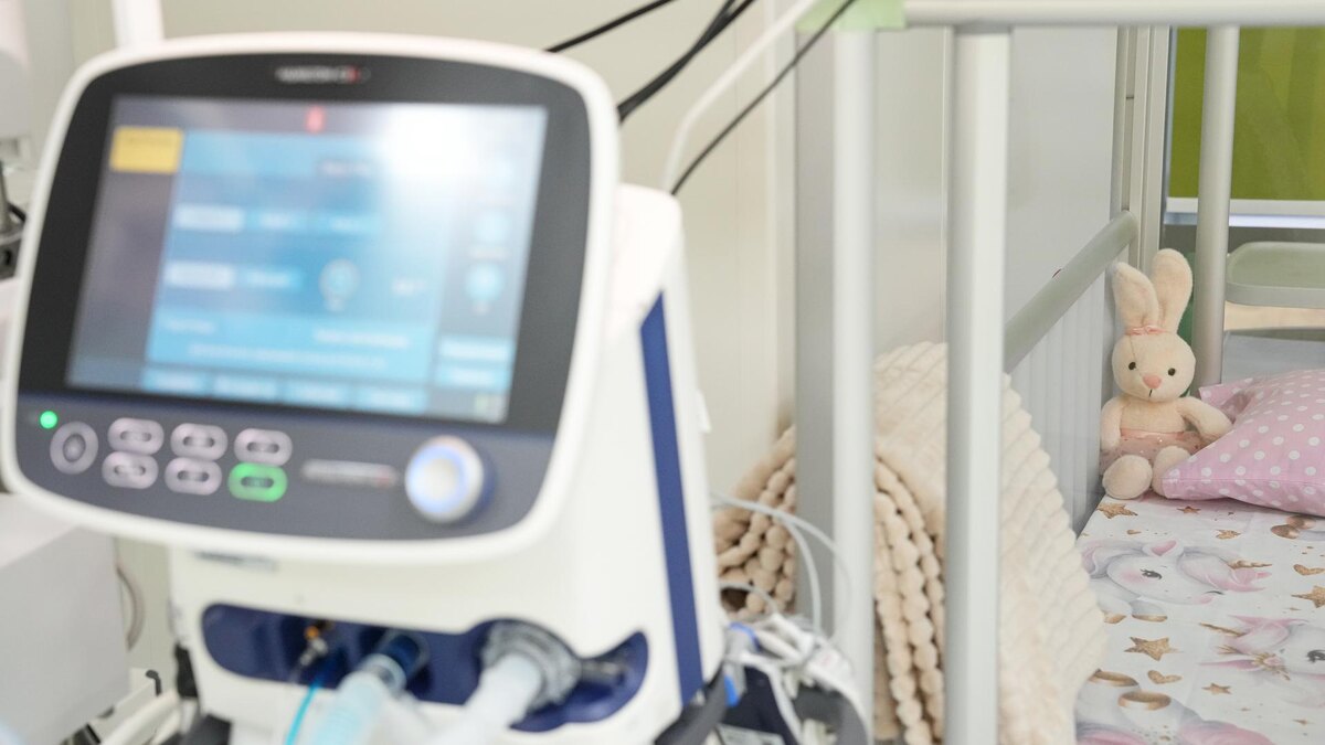    Фото: ИЗВЕСТИЯ/Дмитрий Коротаев