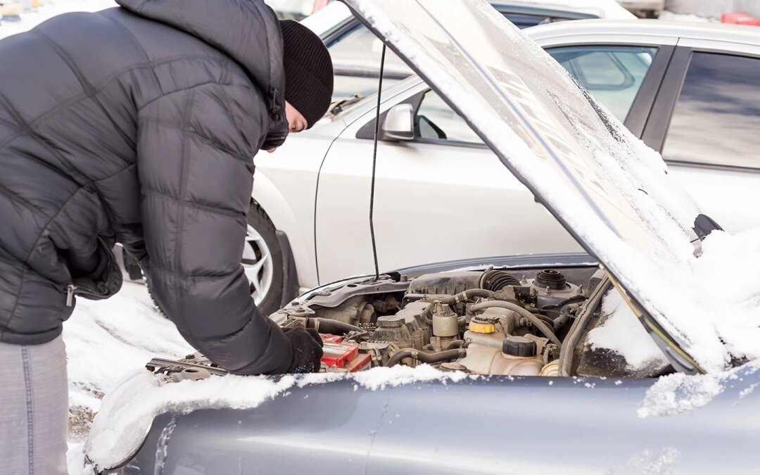 Фото: Irzhanova Asel / Shutterstock / FOTODOM