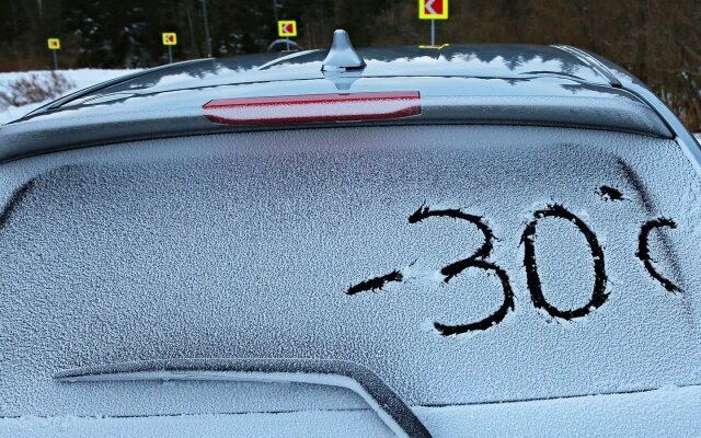 Фото: alleks19760526 / Shutterstock / FOTODOM