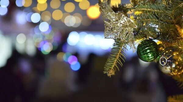    © Sputnik / Татьяна Федоренко