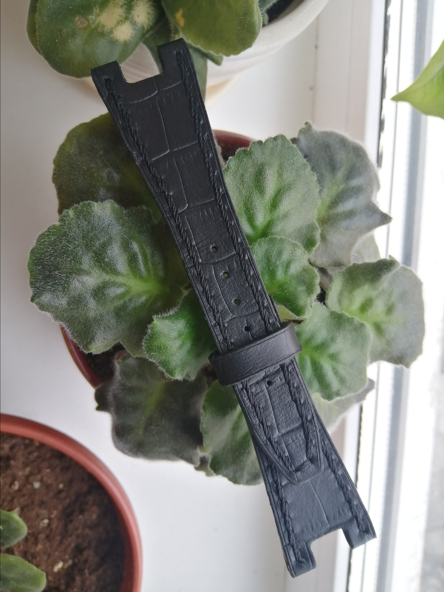 Фотографии автора 