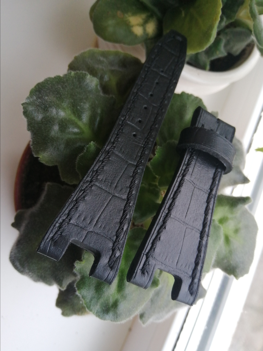 Фотографии автора 