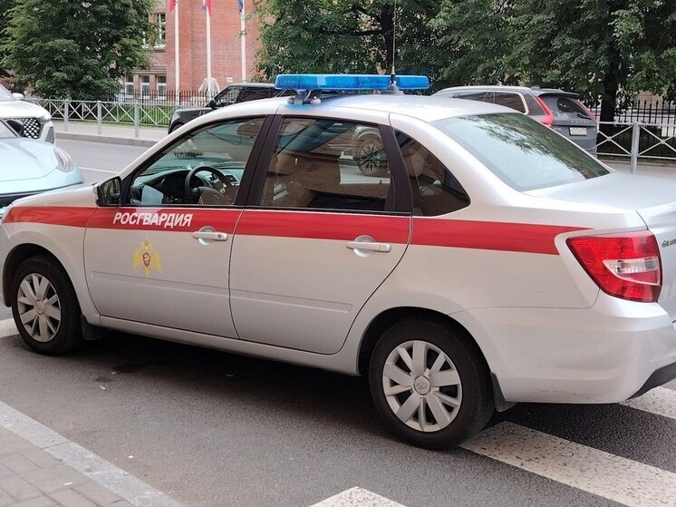     За последние годы произошло несколько нападений на школы с применением оружия. Фото: архив МК в Питере