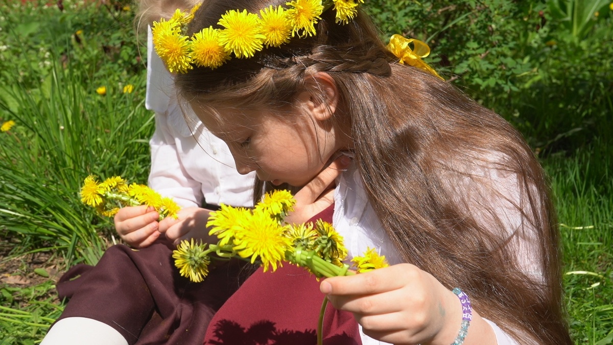 Ну что за красота? (за кадром)