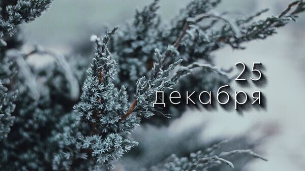    © Photo : Diana Jefimova: Pexels