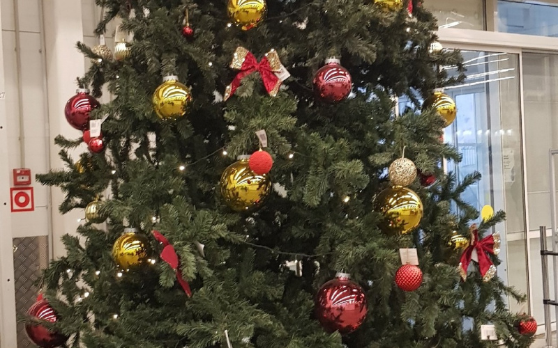    Ирина Меркова