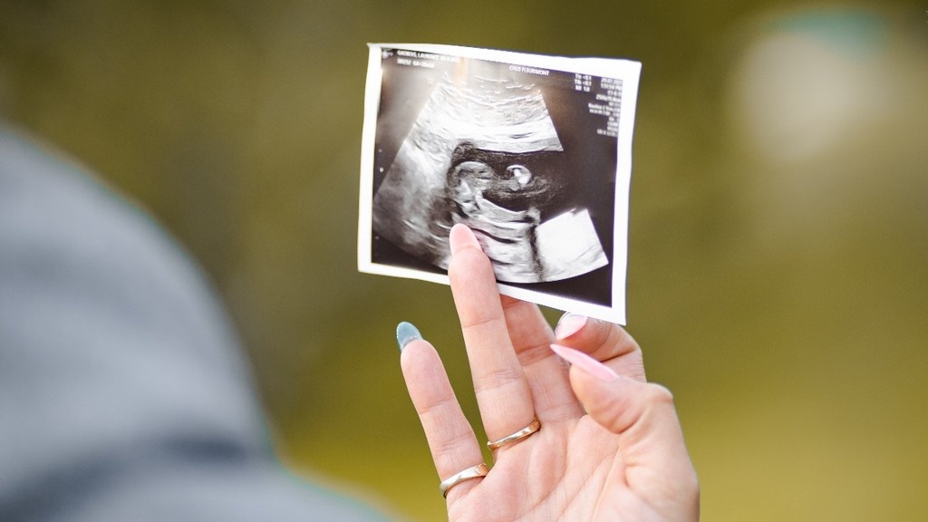    Фото © Unsplash.com