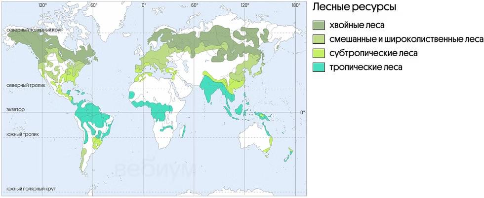 Лесные ресурсы мира