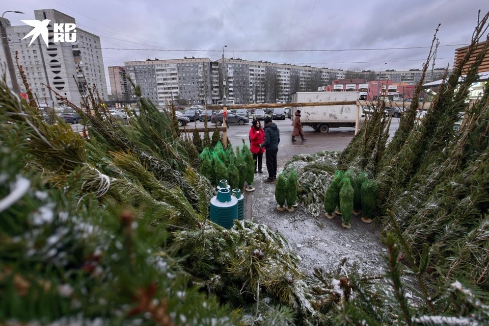    Документы у продавцов можно и нужно проверять. Алексей БУЛАТОВ