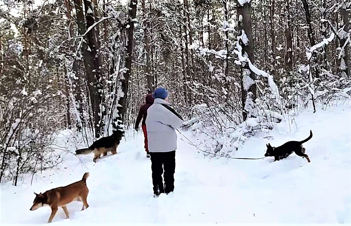 Фото автора