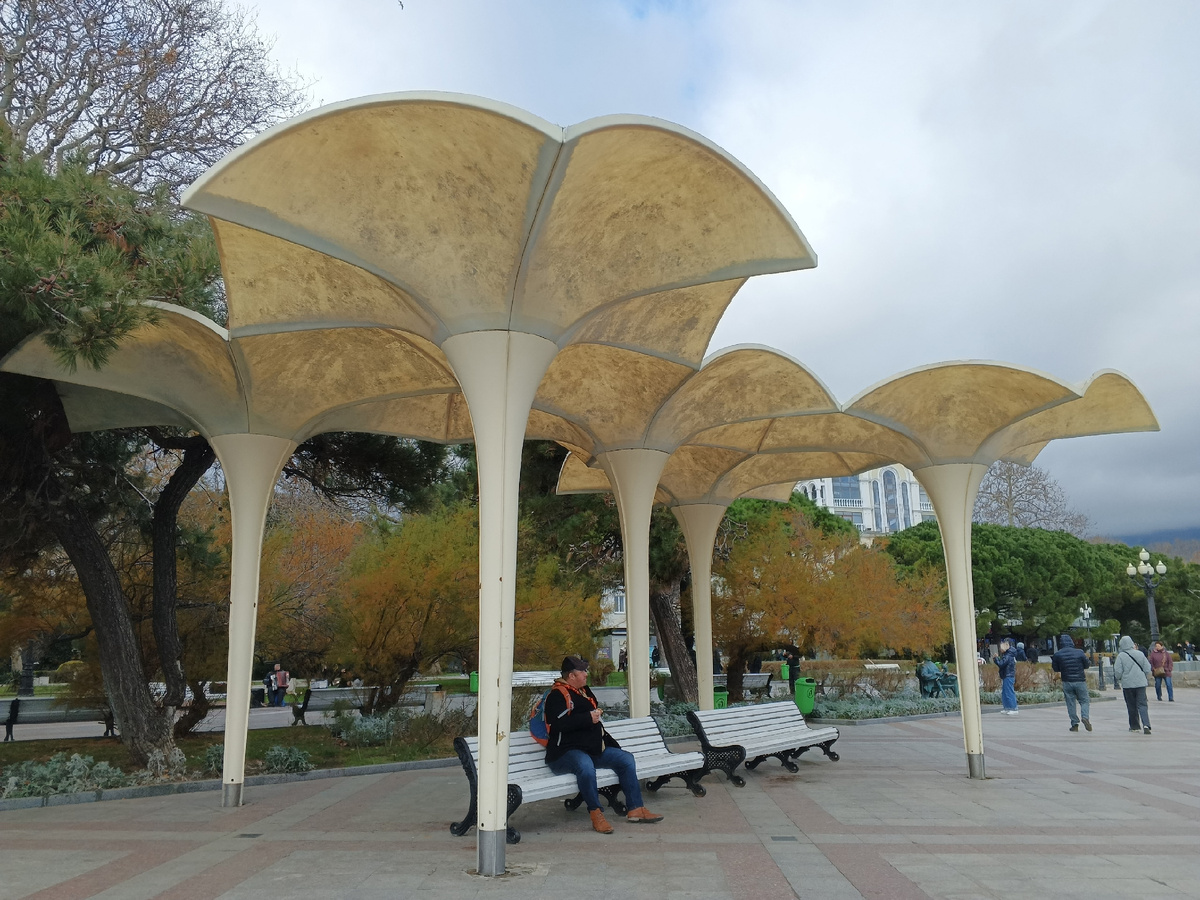 Солнечные зонтики. Фото Галины Малышевой.