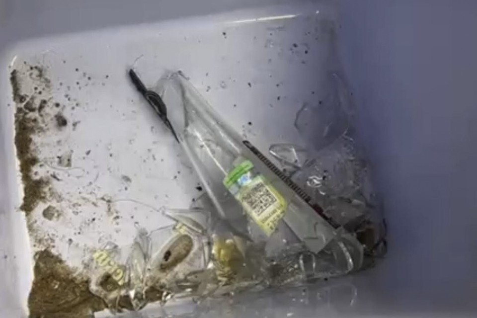    В Петербурге задержали дебошира. Фото: t.me/rosgvard78