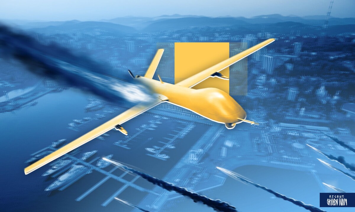    Дрон / Источник: Иван Шилов (с) ИА Регнум