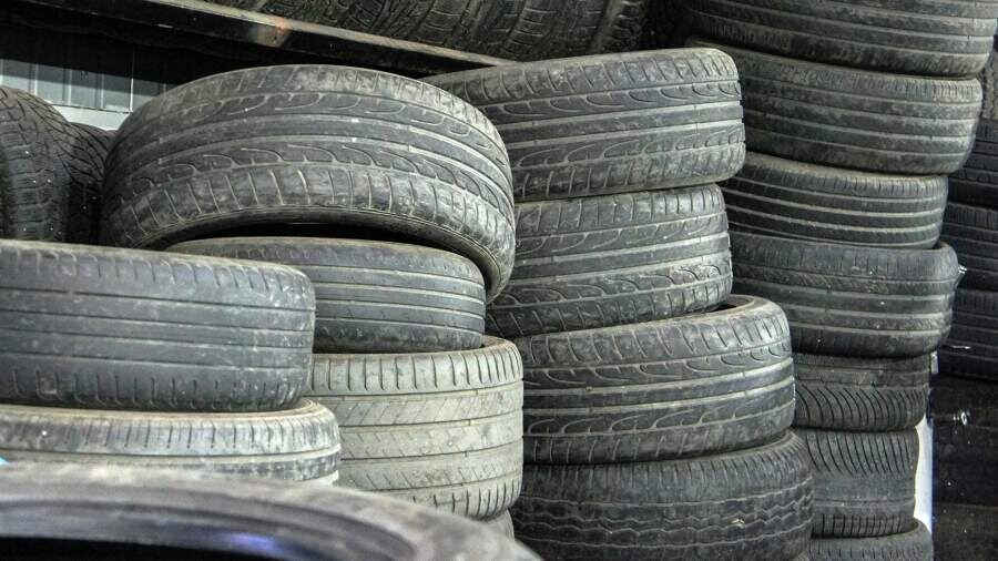    Фото: Global Look Press/Bulkin Sergey