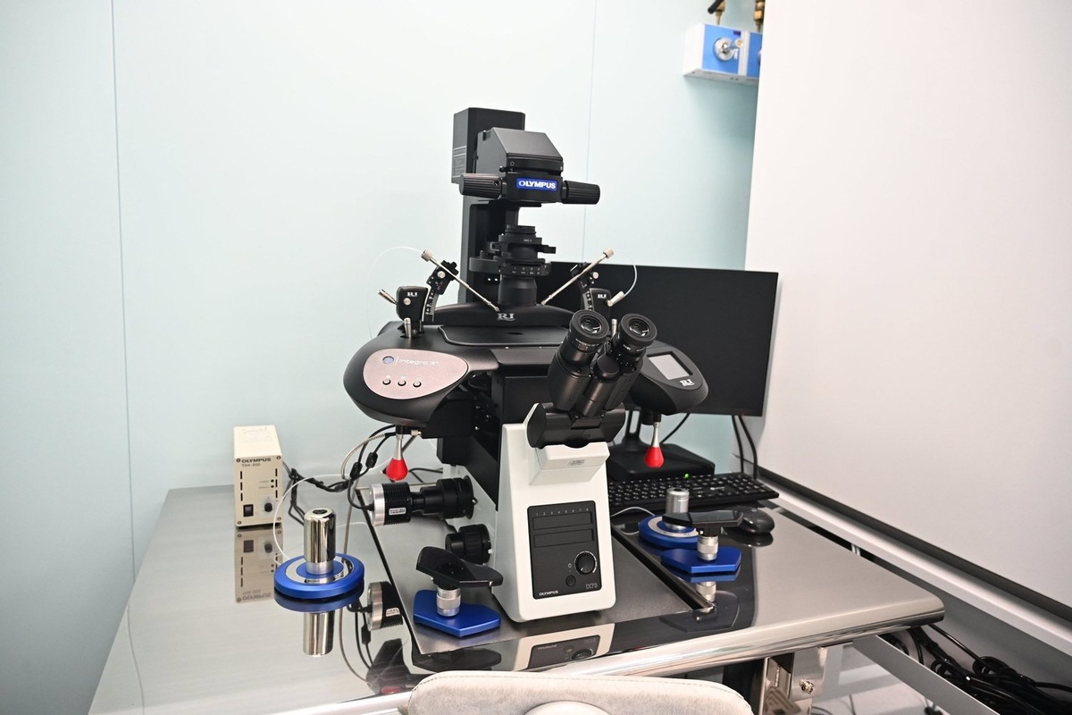   предоставлено ПАО "Татнефть"