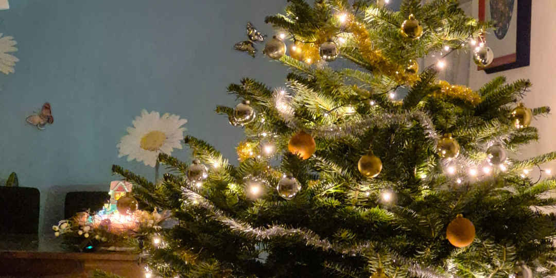 Ежегодные рождественские подарочки