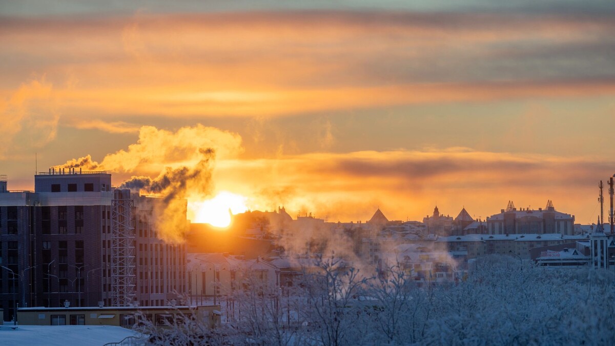    Фото: Федор Воронов / «Ямал-Медиа»