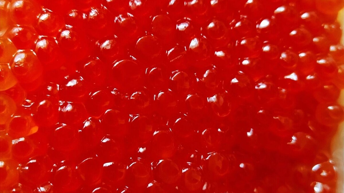    красная икра   transsibinfo.com