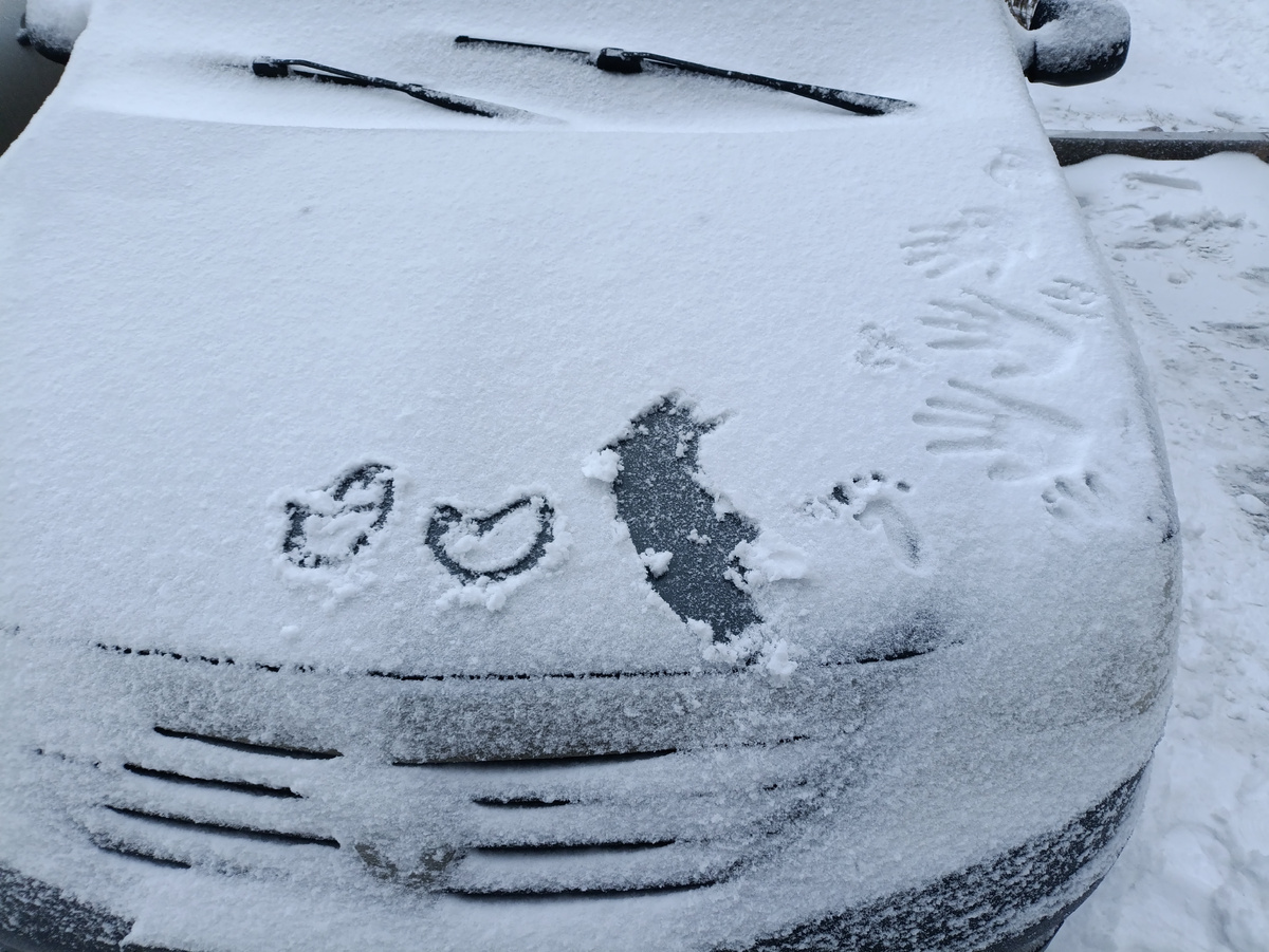 Кто то оставил послание на машине, думала сын, говорит не он