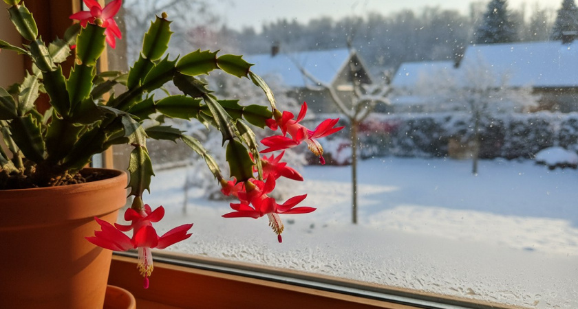    нейросеть Midjourney