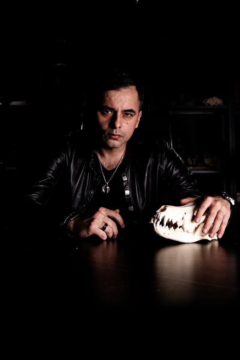 Обычно «подарок» это что-то позитивное и хорошее, но в магическом мире может быть не так. 