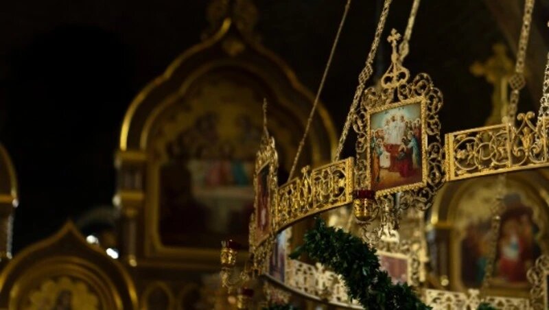      Фото: @freepik / ru.freepik.com