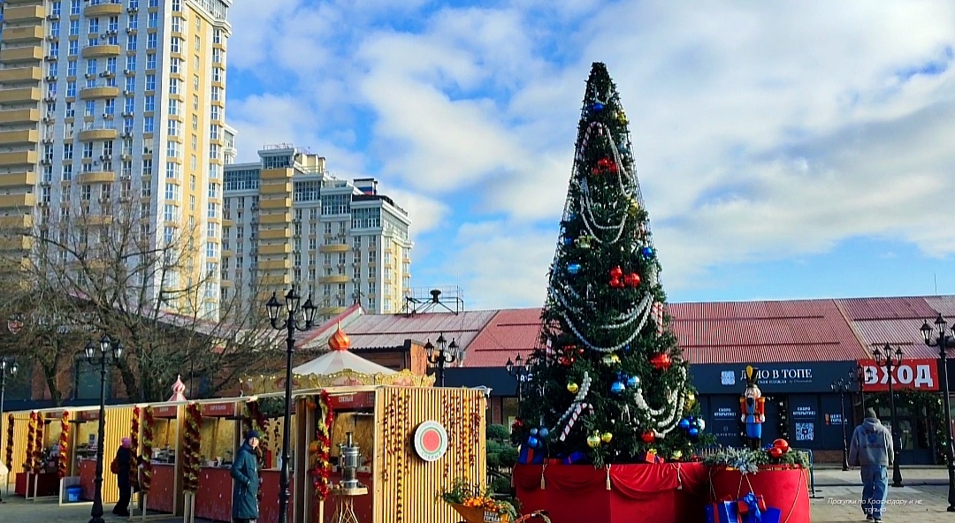 🎁🎄🎁🎄🎁🎄🎁