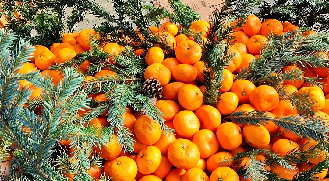 🎁🎄🎁🎄🎁🎄🎁