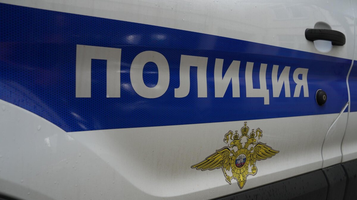    Фото: ИЗВЕСТИЯ/Дмитрий Коротаев