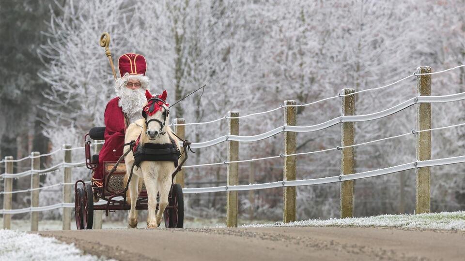    Фото: Thomas Warnack/dpa/picture-alliance/TASS