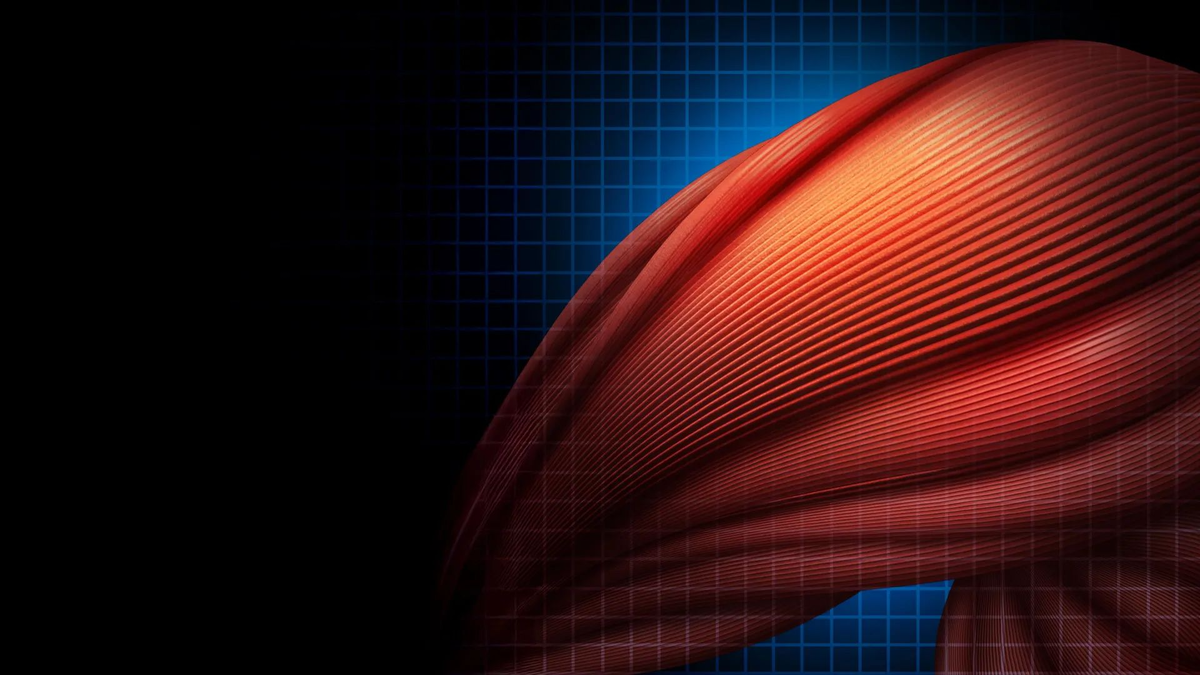 Изображение: Shutterstock