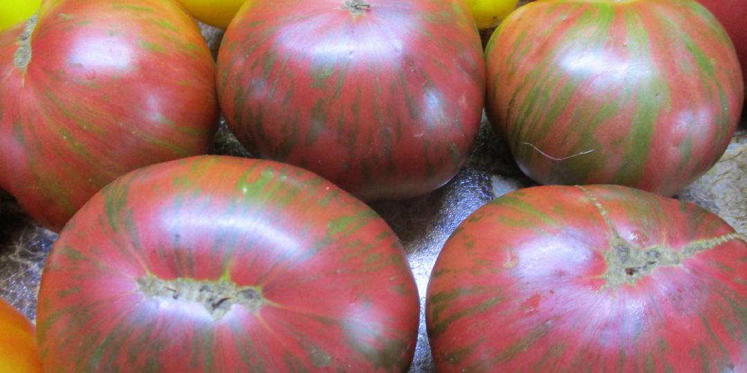 Томатный Гном Фестиваль Аделаиды. "ШОКОЛАДНАЯ" вкуснятина!