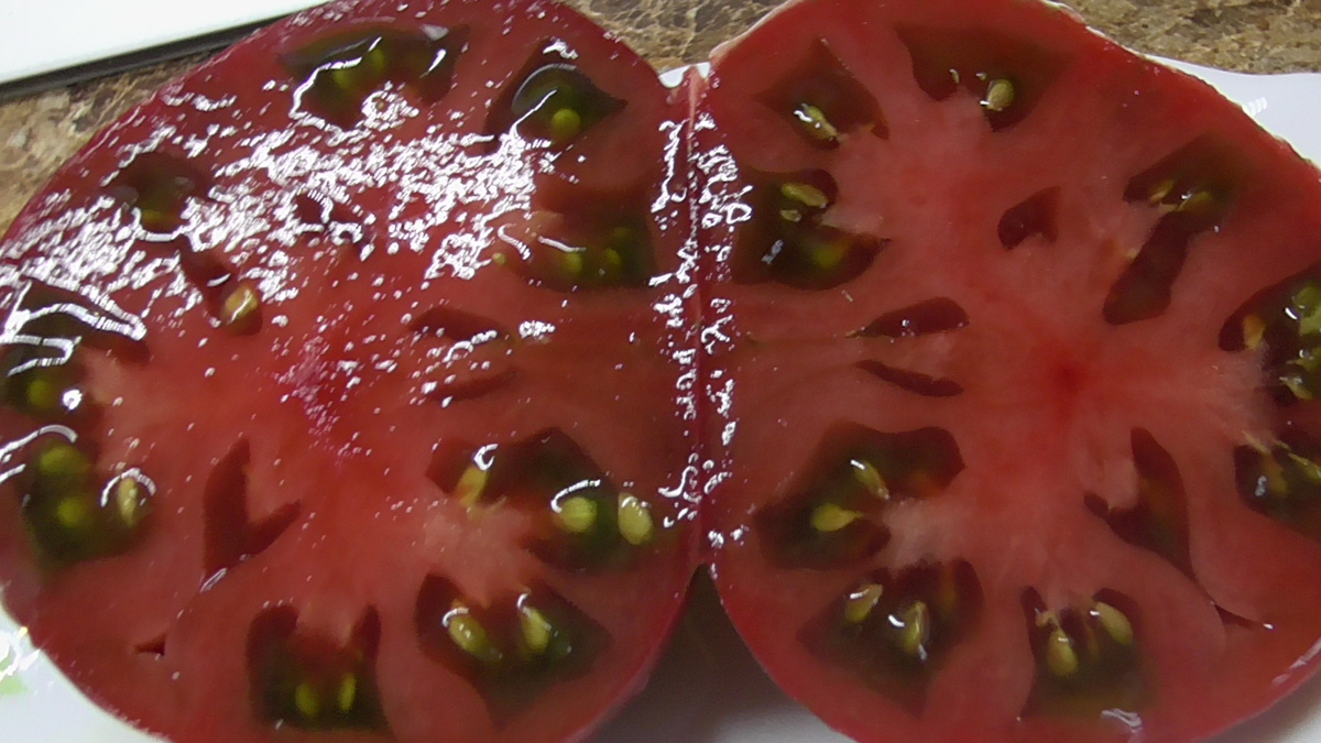 Томатный Гном Фестиваль Аделаиды. №831 в каталоге на сайте Огородная азбука Ольги Черновой.