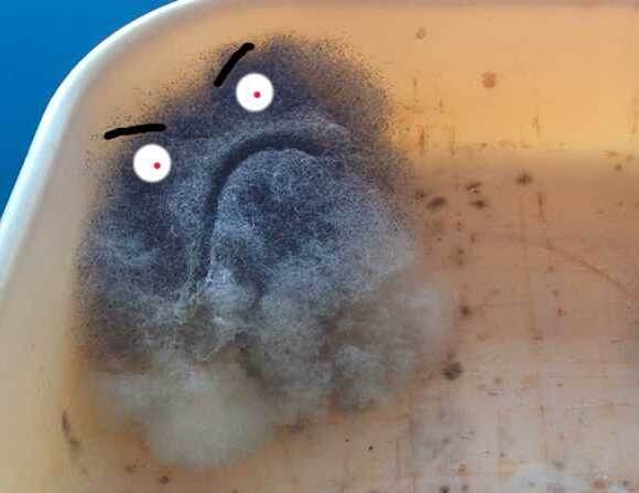 Фото с сервиса Яндекс-картинки.