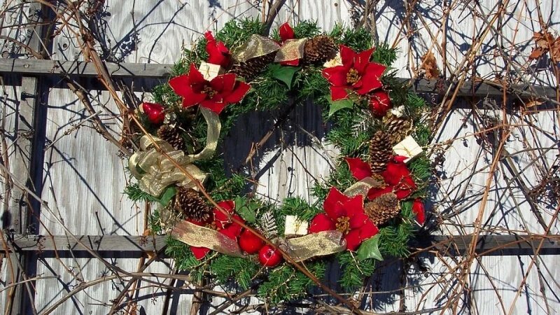     Католическое рождество. СС0