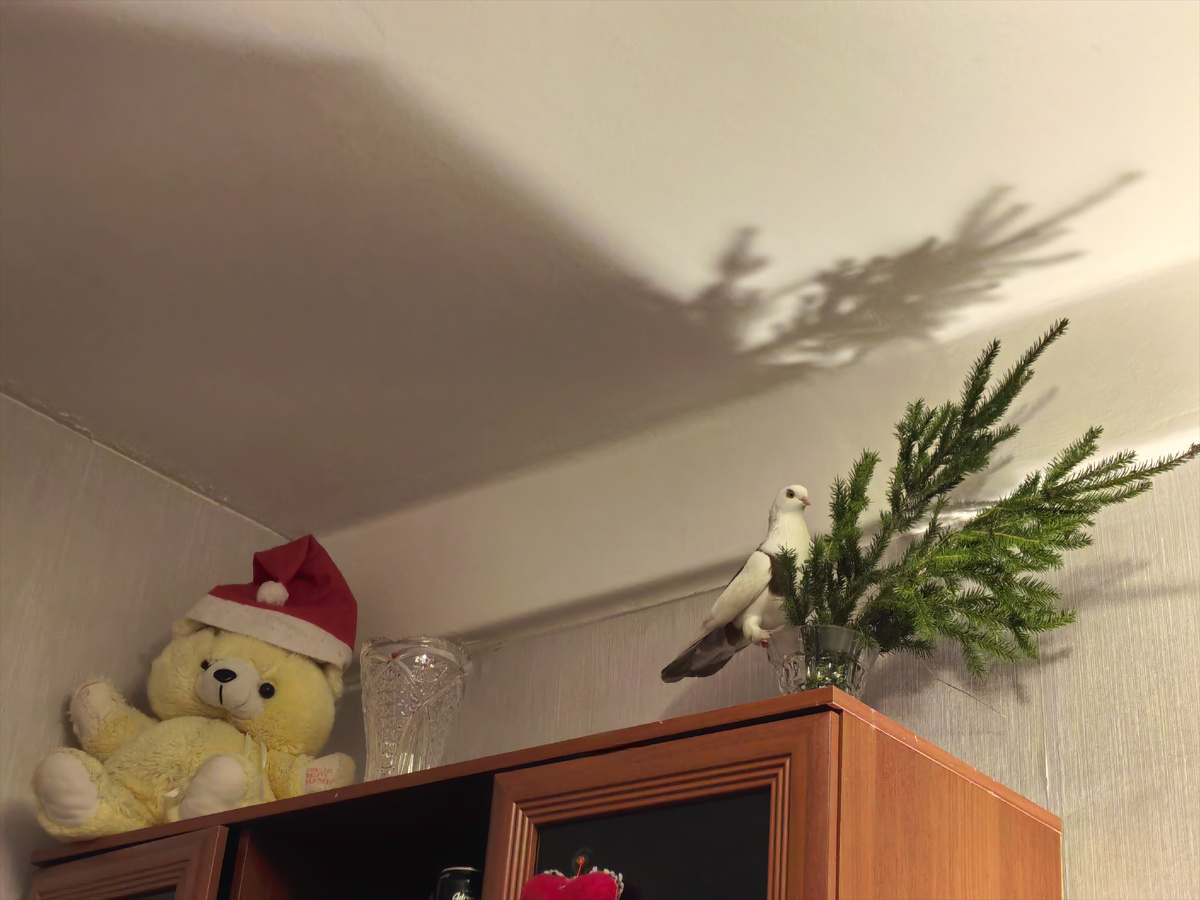 Здравствуйте 👋 Хорошие новости...