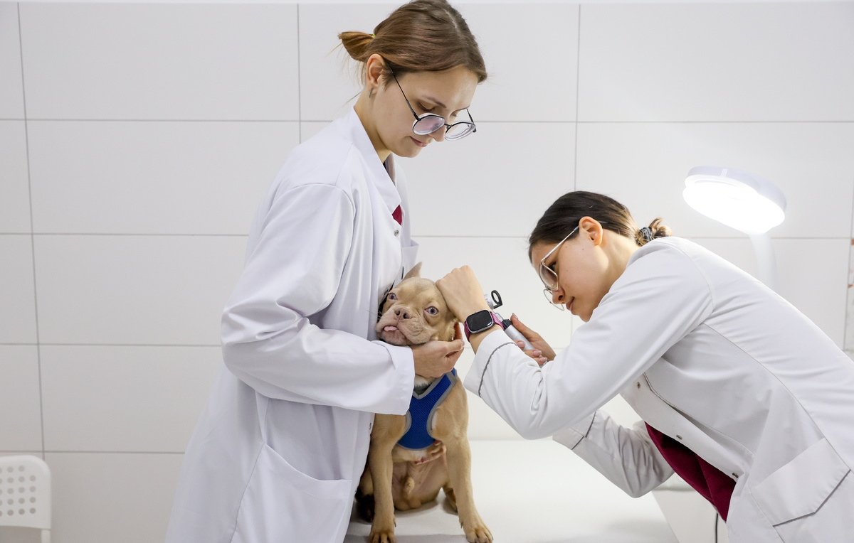 Дмитрий Ягодкин/ТАСС