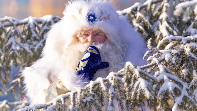     Алтайский Дед Мороз Предоставлено altapress.ru