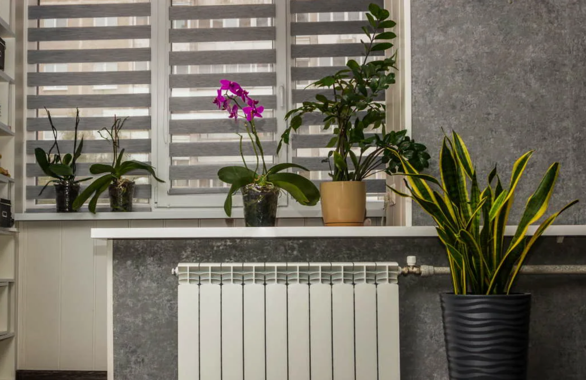 Источник фото: profile.ru