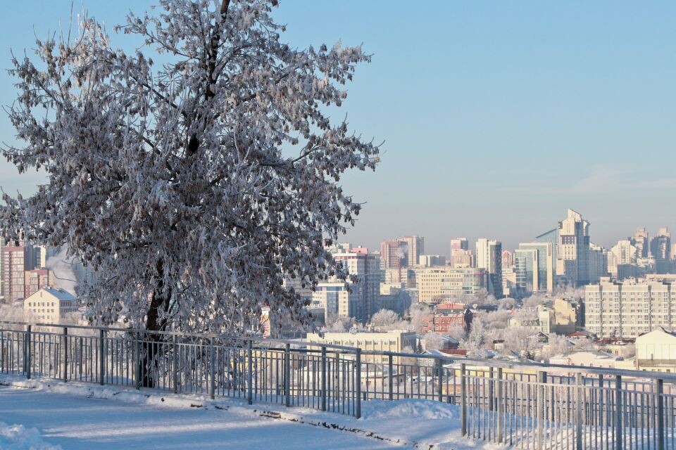    Недвижимость. Барнаул. Зима. Источник: Виталий Барабаш / СИ "Толк"