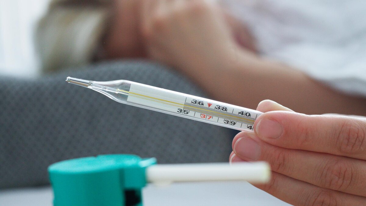    Фото: ИЗВЕСТИЯ/Юлия Майорова