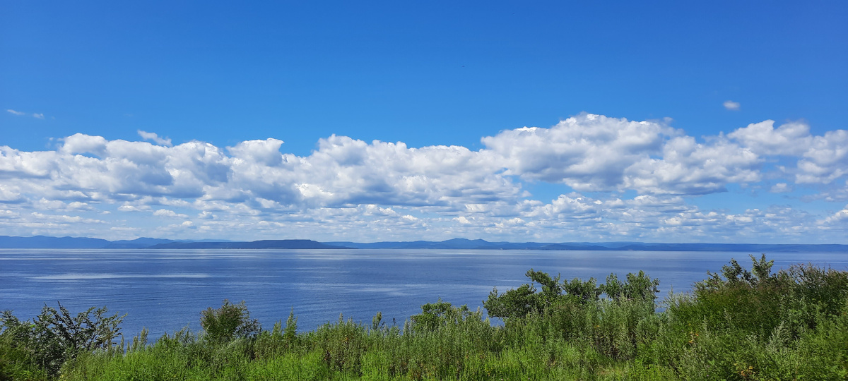 Фото автора канала Татьяны Краюшкиной