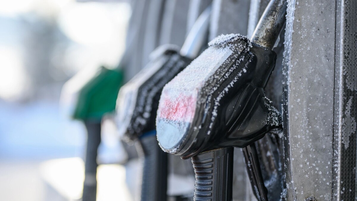    Фото: Sara Borbala Balogh / Shutterstock / Fotodom