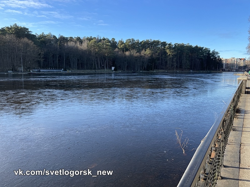Светлогорск, озеро Тихое, 24.12.2025