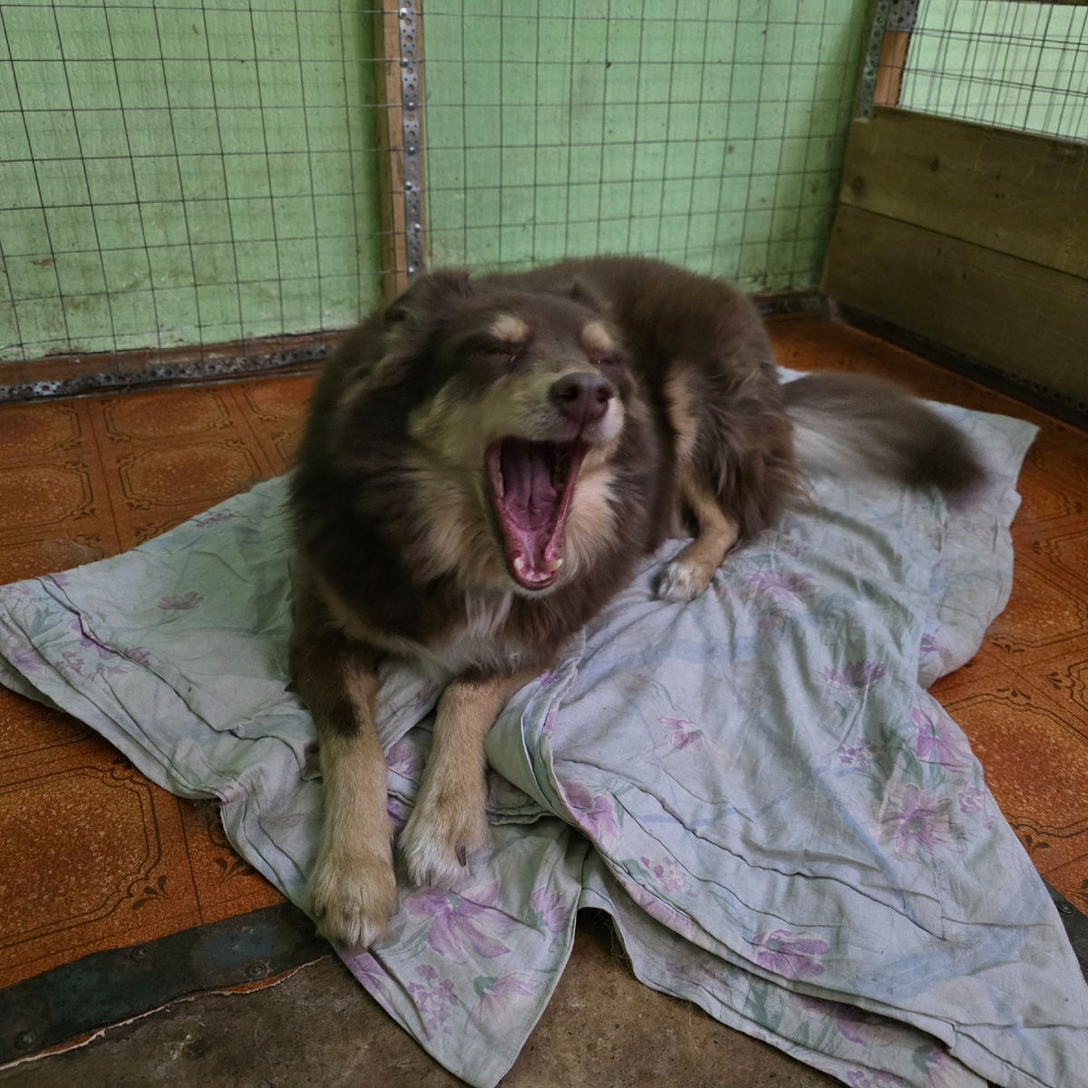 открытая пасть безмолвного крика одиночества