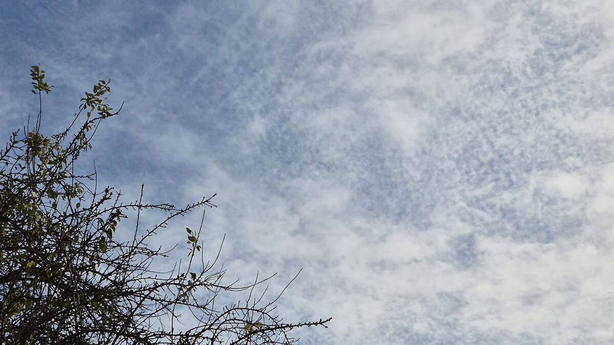    Фото: телеканал «Краснодар»