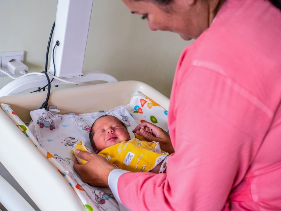    Фото: REGIONS/ пресс-служба губернатора и правительства Московской области/Александра Степанова