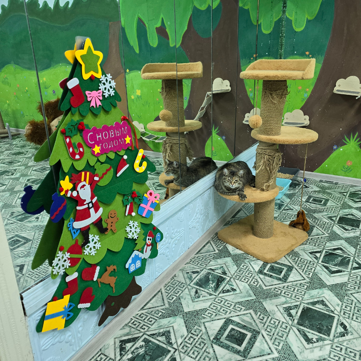 Шелли важно осматривает новогоднюю елку